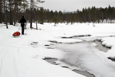 Voyage Raid chien de traineau et ski pulka en Finlande 2