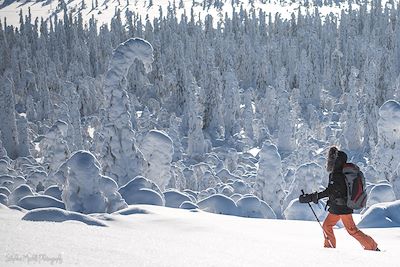 © Stéphane Michel - Région d'Inari-Saariselkä - Laponie - Finlande Région d'Inari-Saariselkä - Laponie - Finlande