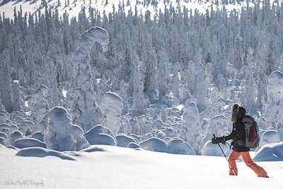 Aurores boréales Laponie finlandaise