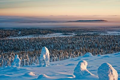 Voyage Laponie finlandaise