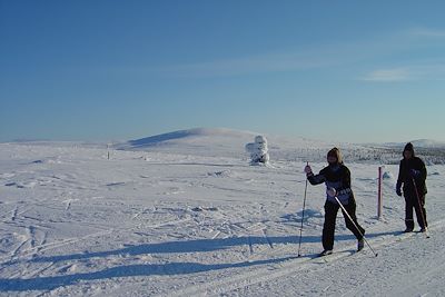 Tunturikeskus Kiilopää - Saariselka