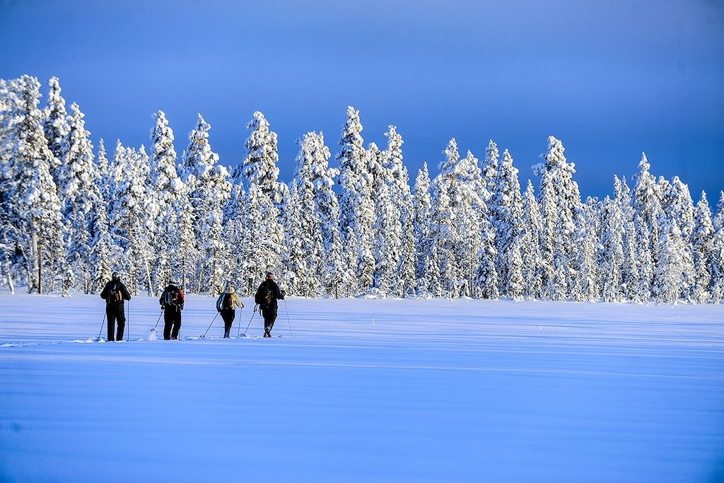 Ski de fond en Laponie