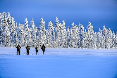 Ski de fond et ski nordique Laponie finlandaise