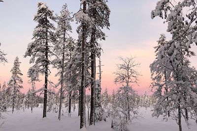 Voyage Ski de fond en Laponie 2