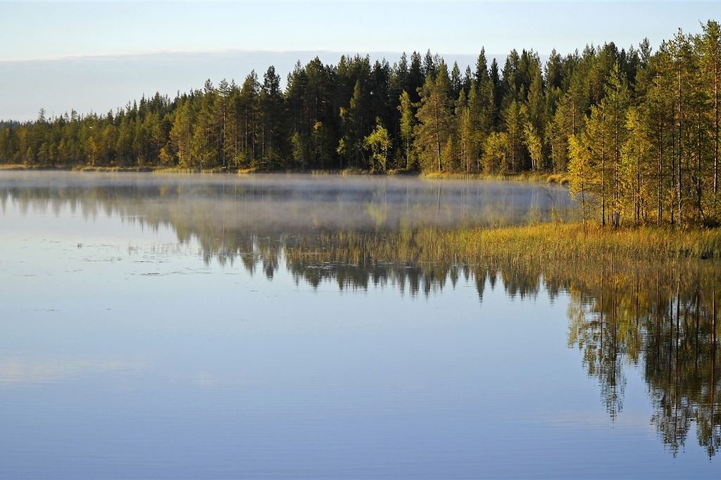 Voyage Faune sauvage de Finlande 1