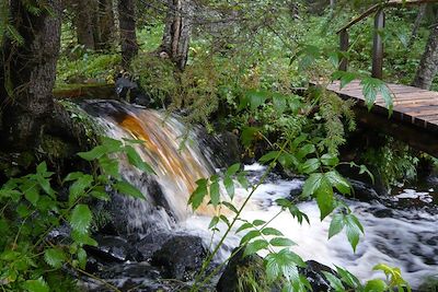 Région du Kainuu - Finlande