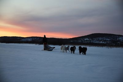 © Stéphane Michel - Traîneau à chiens - Autour du lac Inari - Finlande Traîneau à chiens - Autour du lac Inari - Finlande
