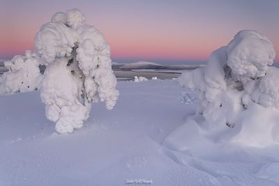 © Stéphane Michel - Laponie - Finlande Laponie - Finlande