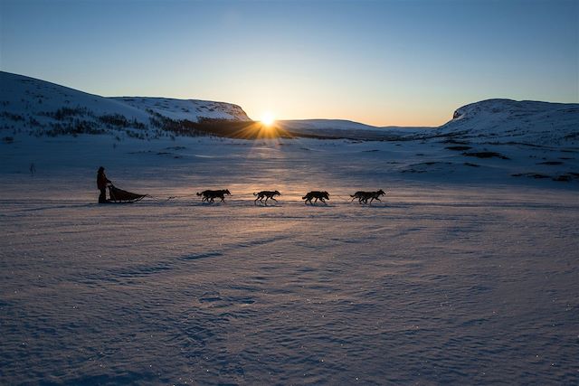 Voyage Traîneaux à chiens et aurores boréales