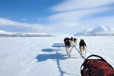 Traîneaux à chiens et aurores boréales - Finlande