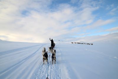 Voyage Traîneaux à chiens et aurores boréales 1