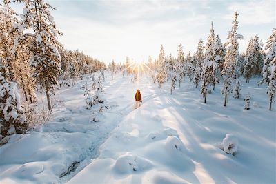 Ylläs - Laponie - Finlande