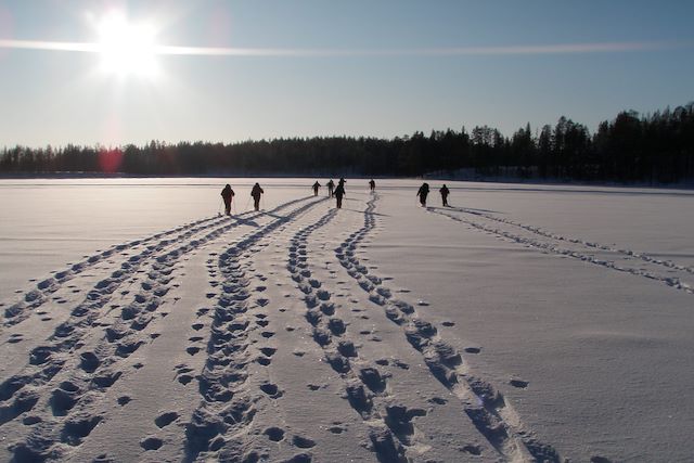 Voyage Raquette à travers la taïga finlandaise