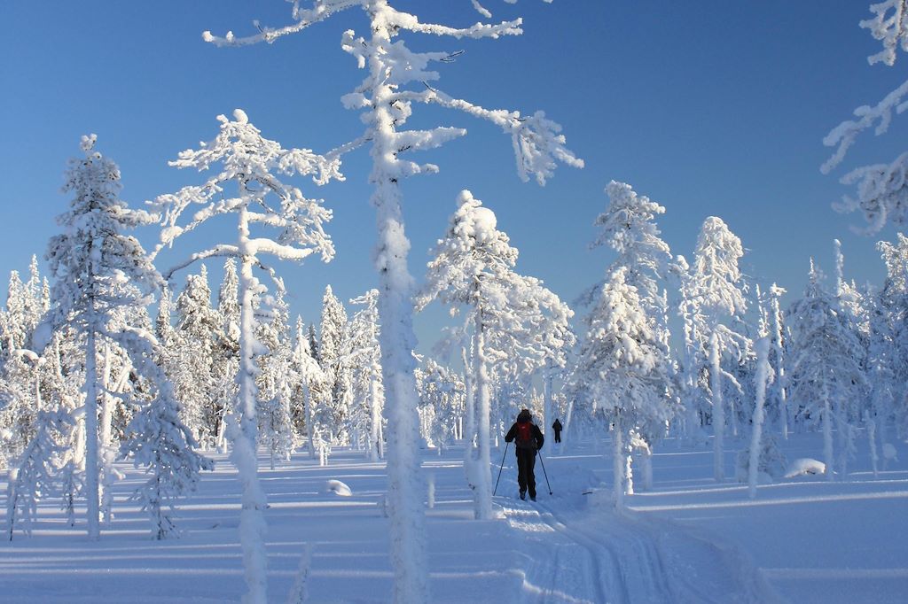 Voyage Ski de fond au cœur de la forêt boréale 2