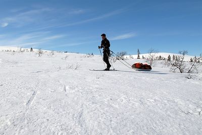 Ski, pulka et bivouac à travers la Laponie