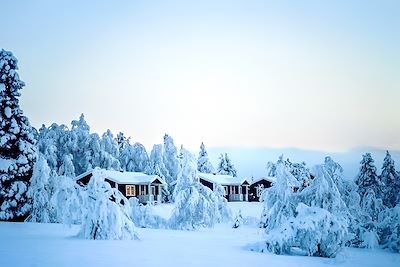 Aurores boréales Laponie finlandaise