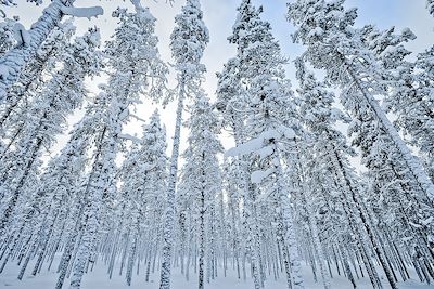 © Lars Malmström - Pitkäsaari - Finlande Pitkäsaari - Finlande