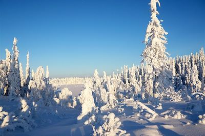 Région du Kainuu - Finlande