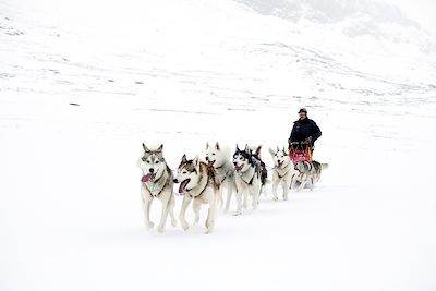 Traîneau à chiens Finlande