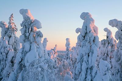Laponie - Finlande