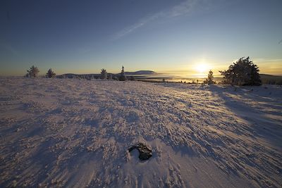 Parc national de Pallas-Yllästunturi - Finlande