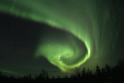 Voyage Observation animalière et photographie en hiver 3