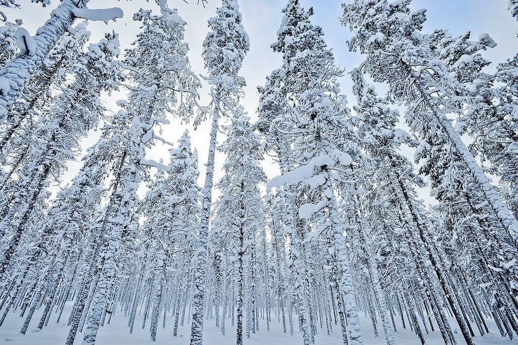 Voyage Observation animalière et photographie en hiver 2