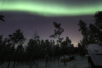 Voyage Raid en traîneau à chiens dans le Grand Nord  1