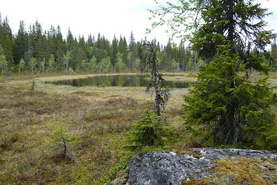 Région du Kainuu - Finlande