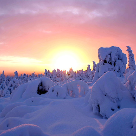 Ski de fond Finlande Laponie finlandaise