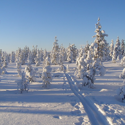Ski de fond Finlande Laponie finlandaise