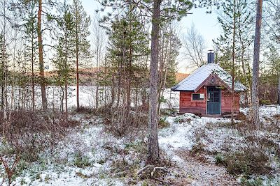 Forêt près d'Ivalo - Laponie - Finlande
