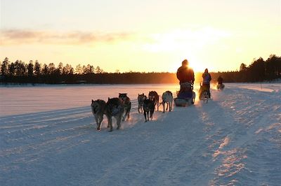 © Julie Le Franc - Découverte de la Laponie en traineau à chiens - Finlande Découverte de la Laponie en traineau à chiens - Finlande