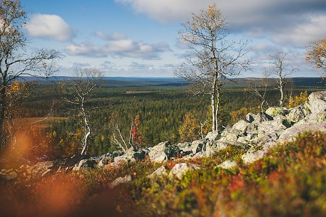 Helsinki : Un été en Laponie Voyage Un été en Laponie