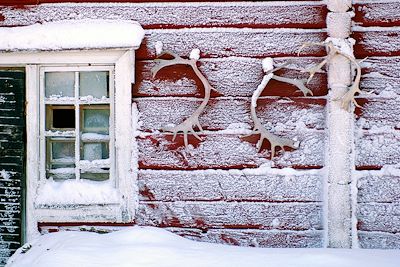 Ferme de Rennes - Laponie - Finlande