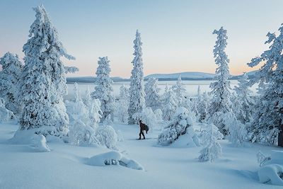 Randonnée en raquettes à proximité du lac Ylläsjärvi - Laponie - Finlande