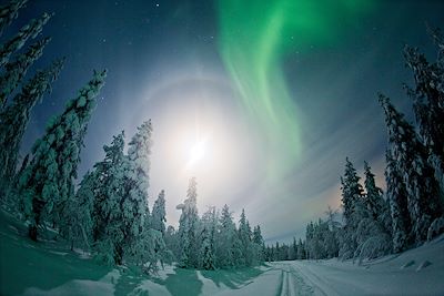 © Miikka Niemi / Flatlight Films / Visitfinland - Hauts Plateaux de Kilpisjarvi - Laponie - Finlande Hauts Plateaux de Kilpisjarvi - Laponie - Finlande