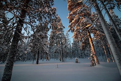 Paysage - Laponie - Finlande