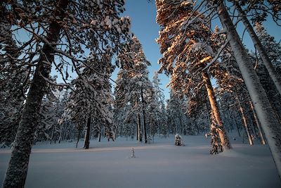© Victor Labarre - Paysage - Laponie - Finlande Paysage - Laponie - Finlande