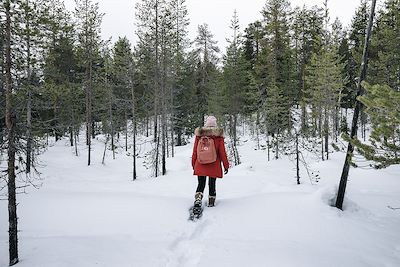 Laponie finlandaise - Finlande