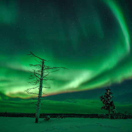 Multi-activités Finlande Laponie finlandaise