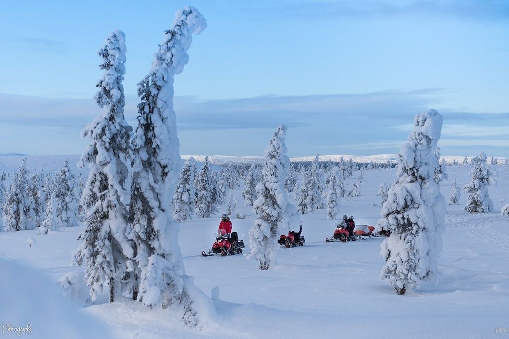 Image Voyage en Laponie - Lac Inari - Chien de traîneau, raquettes, ski