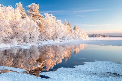 Arbres enneigés et lac - Laponie - Finlande
