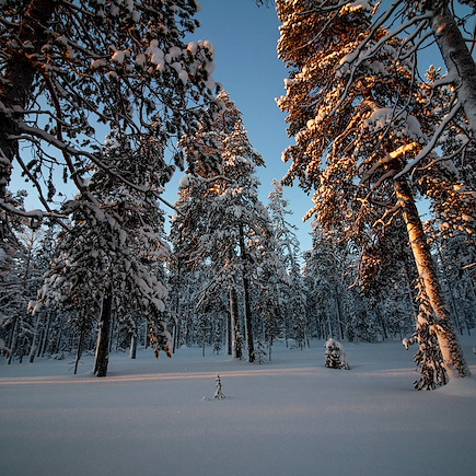 Multi-activités Finlande Laponie finlandaise