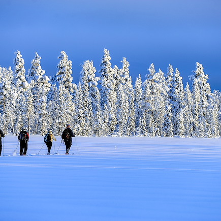 Multi-activités Finlande Laponie finlandaise