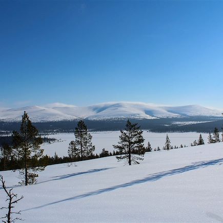 Ski de fond et ski nordique Finlande