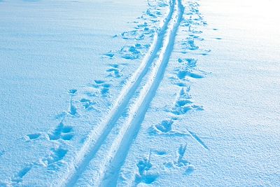Traces de ski de rando - Finlande