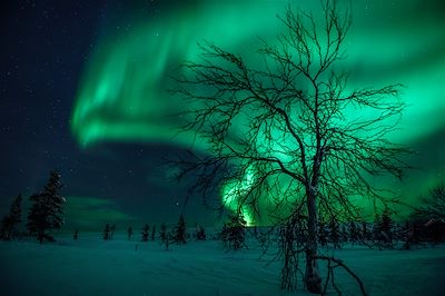 Aurores boréales - Laponie - Finlande
