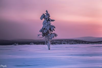 Région d'Inari-Saariselkä - Laponie - Finlande