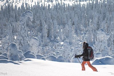 Région d'Inari-Saariselkä - Laponie - Finlande